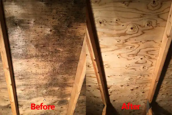 water damage restoration service Osmond